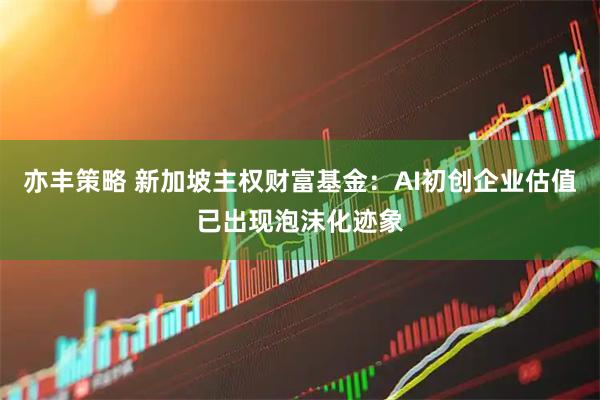 亦丰策略 新加坡主权财富基金：AI初创企业估值已出现泡沫化迹象