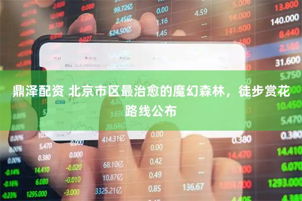 鼎泽配资 北京市区最治愈的魔幻森林，徒步赏花路线公布
